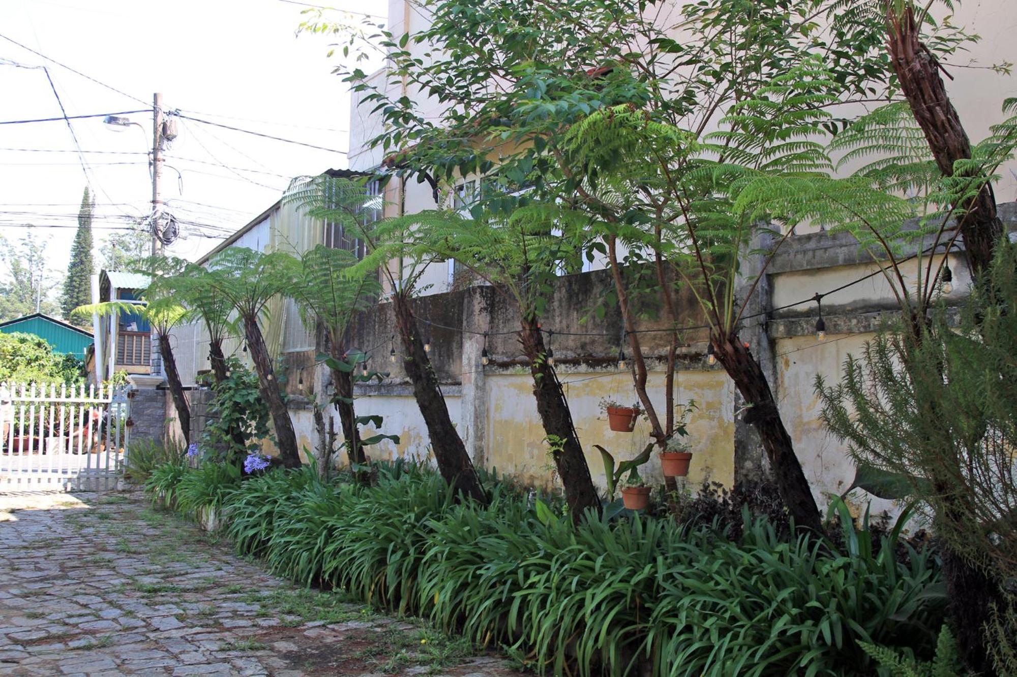 Homestaynhatuiminh Đà Lạt Extérieur photo
