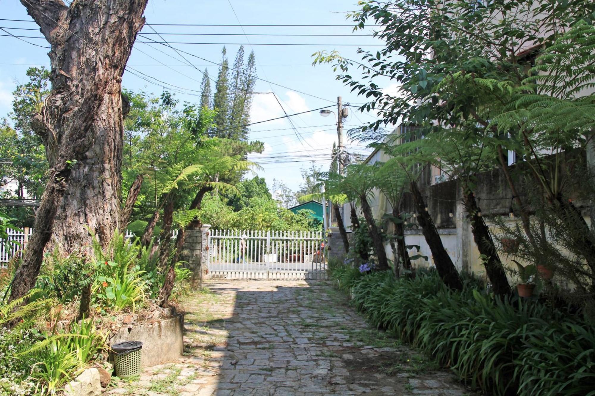 Homestaynhatuiminh Đà Lạt Extérieur photo